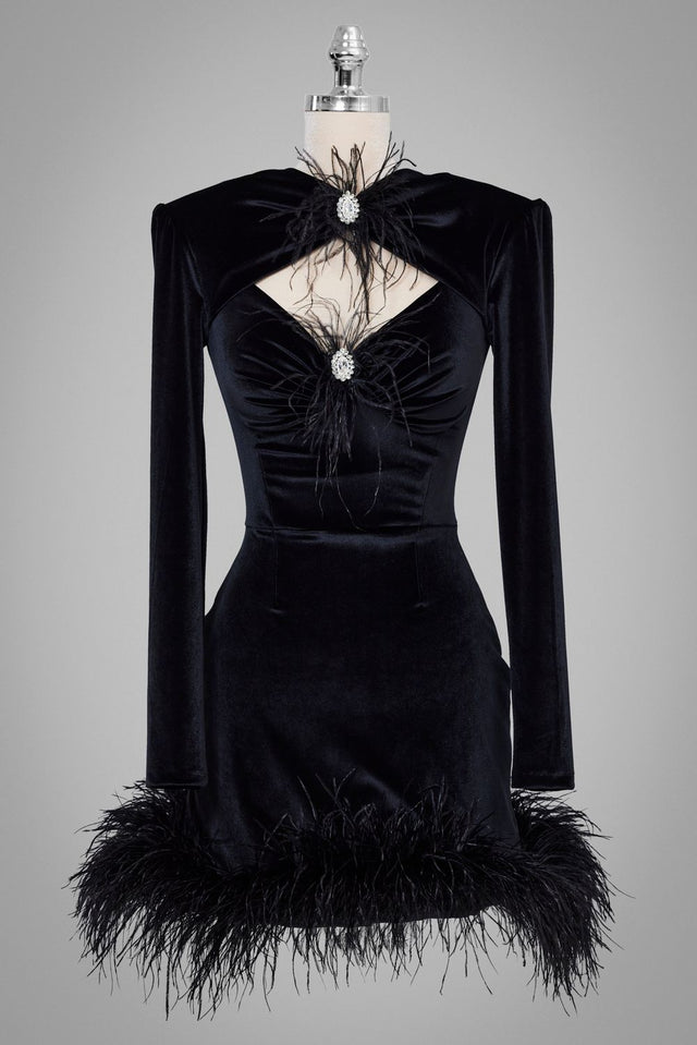 Schwarzes Minikleid aus Samt mit langen Ärmeln, Strass-Details, Cut-outs und Federn am Saum